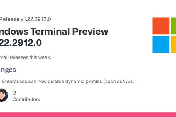 Windows Terminal Preview 1.22.2912.0 released